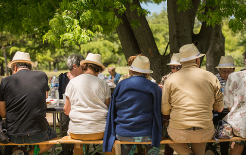 Seniors - Guide des animations