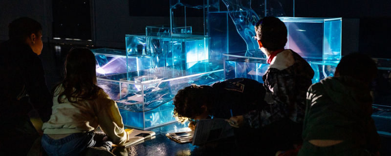 Visite atelier pour les familles - Nature futur(s)