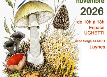 Salon du champignon