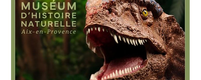 Les ateliers au Muséum pendant les vacances de la Toussaint