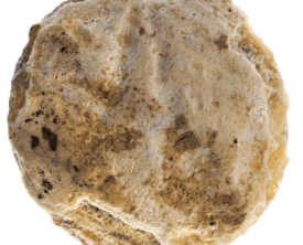 Intaille Personnage debout - Verre-nicolo 12 x9x 2,3 mm - Antiquité 150-250 (…)