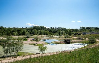 Station d'épuration d'Aix-Ouest : un laboratoire de biodiversité à (…)