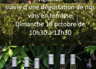 Dans les pas du vigneron au Domaine de Belambrée