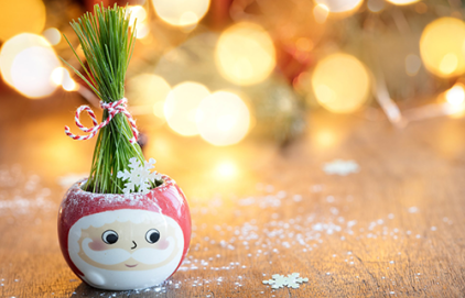 Atelier "Plantons le blé pour la Sainte-Barbe"