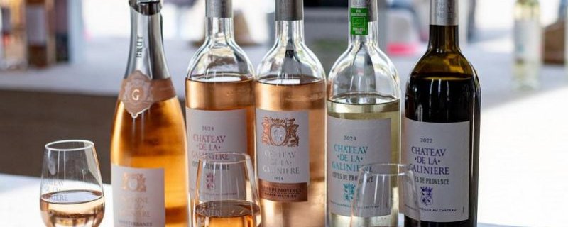 Château de la Galinière - Vineyards and wine immersion