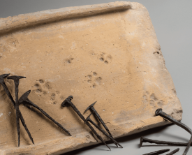 Tegula (tuile) et crampons en fer - Antiquité - rue des Chartreux 1987 et (…)