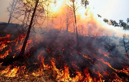 Vigilance feux de forêt - Risque de feu très sévère
