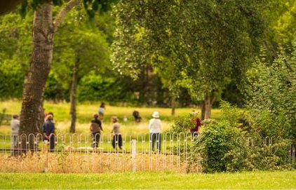 Au milieu des arbres