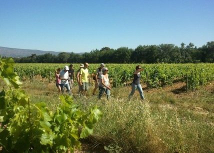 Une drôle histoire du vin au départ de l'Hostellerie des vins de Rognes