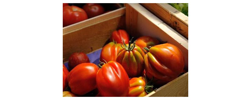 Marché du quartier d'Encagnane