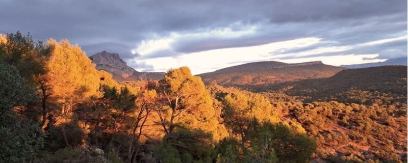 Un matin avec Cezanne à Bibémus