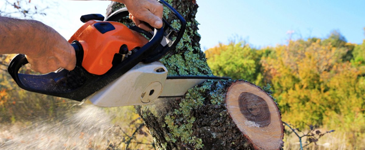 Réunion d'information sur les obligations légales de débroussaillement - Risque Incendie au Pont de Béraud