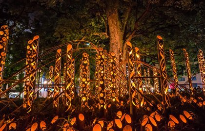 Illumination du jardin japonais