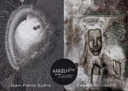 Chambre noire pour rêve clair