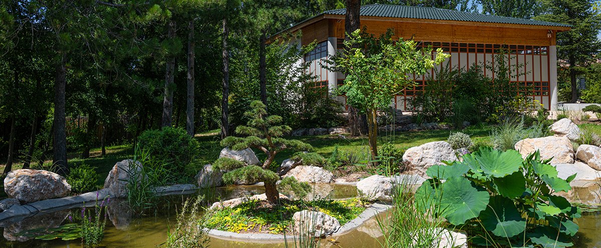 Jardin japonais