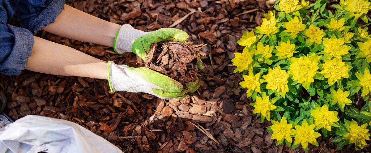 Espaces verts, les bonnes pratiques