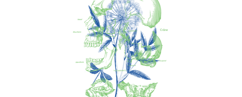La Chute, histoire d'un châtiment silencieux