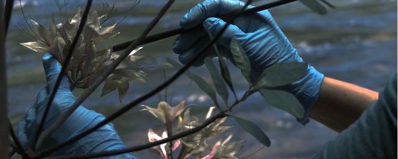 Soirée Astrale #19 Printemps