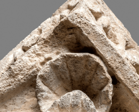 Détail des motifs sculptés sur les écoinçons des chapiteaux toscans - (…)