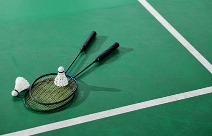 Championnat national interclubs de badminton