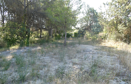 Vente immobilière par la Ville d'Aix-en-Provence - Terrain à bâtir