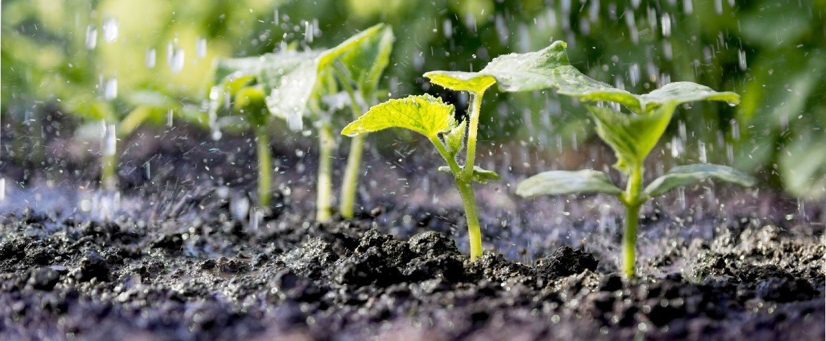 Agriculture : accompagner un changement de pratiques