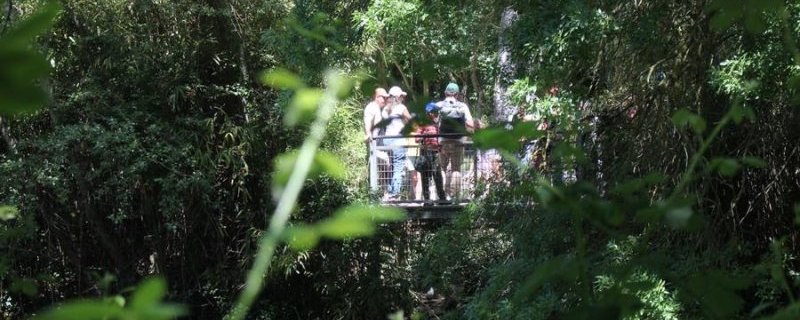 Fête de la Nature - Balades sur la Promenade de la Torse