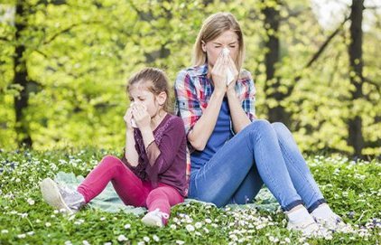 Pollens : des capteurs en temps réel pour anticiper les crises allergiques à Aix