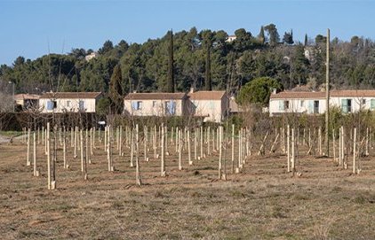 Airfresh : plantation terminée