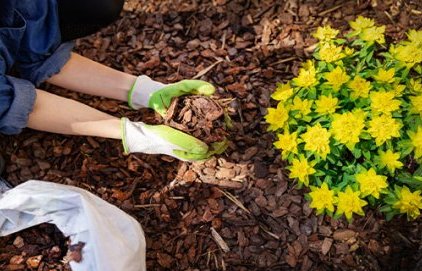 Espaces verts, les bonnes pratiques