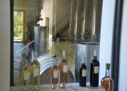 Secret de vinification au Domaine de Belambrée