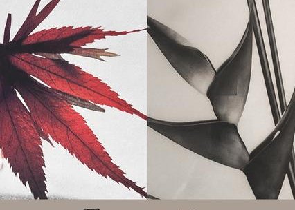 Exposition : Essentia