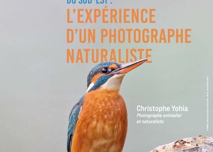 Conférence - Rencontre avec la faune du Sud-Est : l'expérience&nbsp;(…)