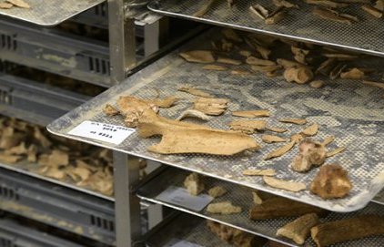 Historique des collections archéologiques