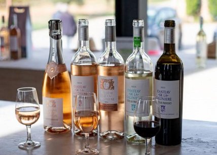 Château de la Galinière - Vineyards and wine immersion