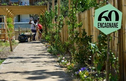 Chantier éducatif dans les jardins Lou Grillet et Cardalino