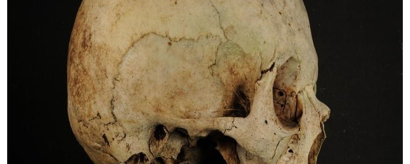 Le Corps saisi par la sociologie et l'anthropologie : un support de valeurs