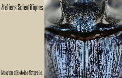 Ateliers pédagogiques du Muséum d'Histoire Naturelle - Vacances de la (...)