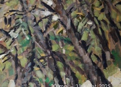 Les forêts Cezanniennes vues par Miriam Hartmann