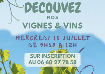 Découverte Vignes & Vins de la cave