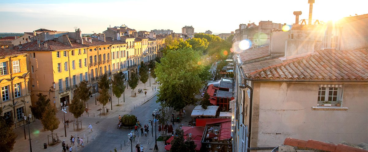 La Ville contrainte d'abattre 3 platanes chancrés sur le cours Mirabeau