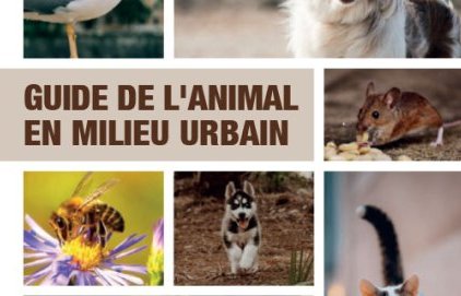 Guide de l'animal en milieu urbain