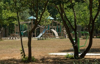 De la végétation spontanée à l'écojardin