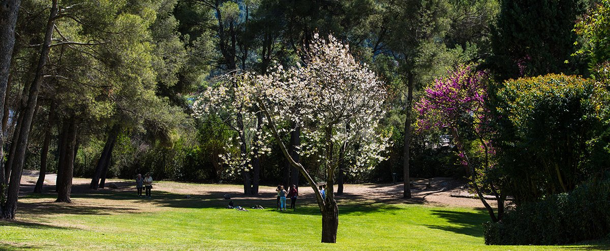 Parc des collines de Cuques