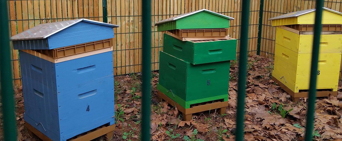 Les abeilles emménagent au Jardin Cardalino