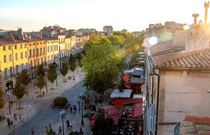 La Ville contrainte d'abattre 3 platanes chancrés sur le cours (...)