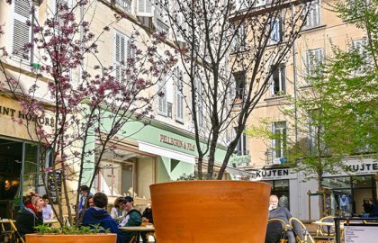Végétalisation du centre-ville