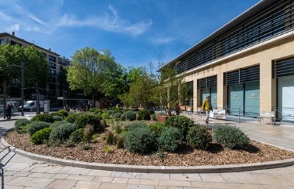 Le parvis de la Poste végétalisé