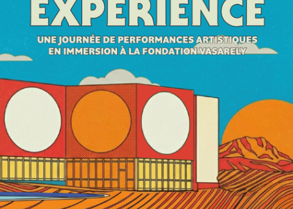 Vasarely Expérience