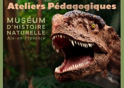 Les ateliers au Muséum pendant les vacances de la Toussaint